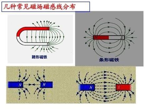 如何 知道自己的磁場|磁場效應與正能量：引領積極人生的關鍵